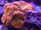20220902_182156.jpg