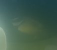 ED630FDB-95F1-46C8-88A7-392024DB0AED.jpeg
