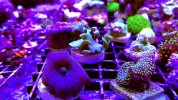 5F1777DA-20BD-4352-935D-7D3C131B6423.jpeg
