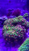 C28AB53C-52D3-446B-B56D-68EFDE999AC0.jpeg