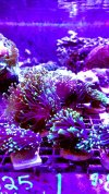 2756D2E2-F790-4C90-A828-2D63CC9982FD.jpeg