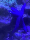 00FDD837-E1BC-482B-95F9-D0E6ED516AF5.jpeg