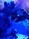 20220905_191855.jpg