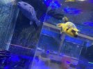 9E47AD77-4CF4-4CE8-8F55-1C09EFD5A4C6.jpeg