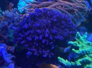 9C090685-D6CA-46FF-A07F-DFC48CB809F8.jpeg