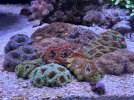 2280B138-BDAC-4D20-8BC2-84575BB681CC.jpeg