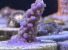 D80DA108-58C9-4345-B82D-712D53F7D0CA.jpeg