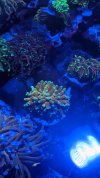 PXL_20220918_163053004.jpg