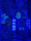 thumbnail_IMG_2632.jpg