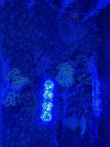 thumbnail_IMG_2609.jpg