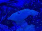 thumbnail_IMG_2619.jpg