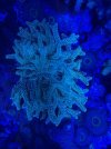 thumbnail_IMG_2620.jpg