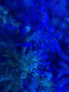 thumbnail_IMG_2622.jpg