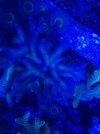 thumbnail_IMG_2627.jpg
