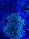 thumbnail_IMG_2629.jpg