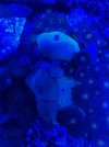 thumbnail_IMG_2630.jpg