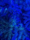 thumbnail_IMG_2631.jpg