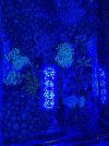 thumbnail_IMG_2632.jpg