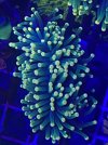 7BD0853C-0F47-49BC-90BB-77C403B73216.jpeg