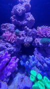 20220925_130837.jpg