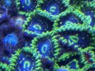 7D60665F-6920-4B54-8ED4-427B4AA44E66.jpeg