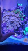 20221005_124027.jpg
