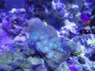 20221009_082048.jpg