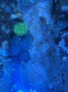 11357859-A489-4226-91F7-FF67BBB431A6.jpeg