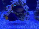 IMG_5818.jpeg