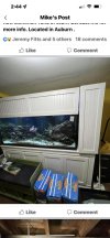 C15759F0-ED21-4127-BBB9-7BE261789E95.jpeg