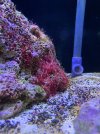 IMG_1336.jpeg