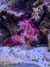 IMG_1337.jpeg