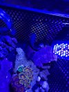 A57478E4-2F49-4FD2-B066-1F26960FC66A.jpeg