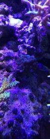 20221128_185305.jpg