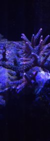 20221128_185338.jpg