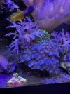 IMG_1252.jpeg