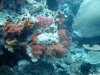 DSC02717.JPG