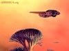 spaceship.JPG