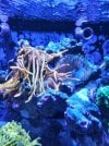 20221209_185238.jpg