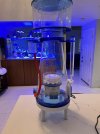 IMG_1721.jpeg