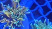 PXL_20221217_114845106.jpg
