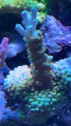4B9DC0BD-DE5E-46FB-B5F6-E2D468601298.jpeg