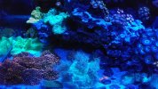 20221225_163354.jpg