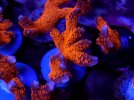 20221230_200302.jpg