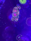 20221214_180524.jpg