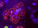 20221214_180356.jpg