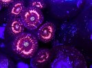 20221214_180334.jpg