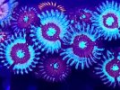 20221214_180223.jpg