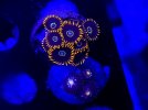 20221214_180152.jpg