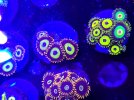 20221214_180159.jpg